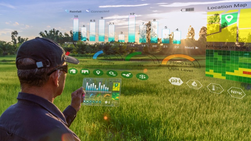 Yield Farming Nedir