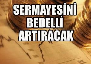 Bedelli Sermaye Artırımına Katılmazsam Ne Olur?