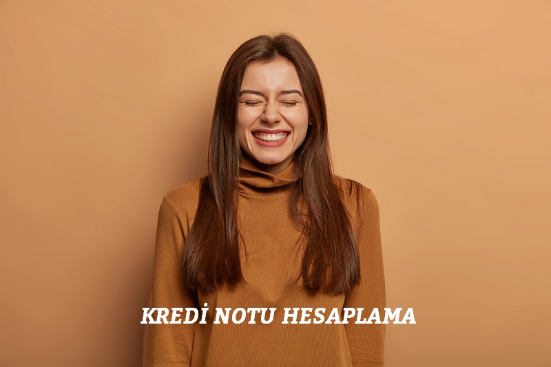kredi notu hesaplama
