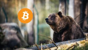 Bitcoin Yeni Yıl Sürprizi
